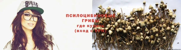 сатива Гусиноозёрск