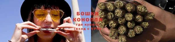 PSILOCYBIN Гусев