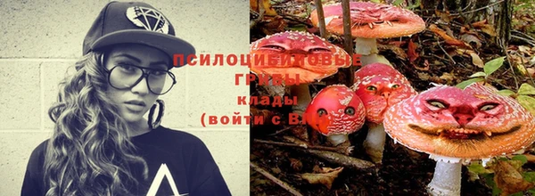 PSILOCYBIN Гусев