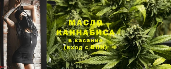 сатива Гусь-Хрустальный