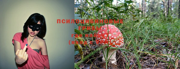 сатива Гусиноозёрск