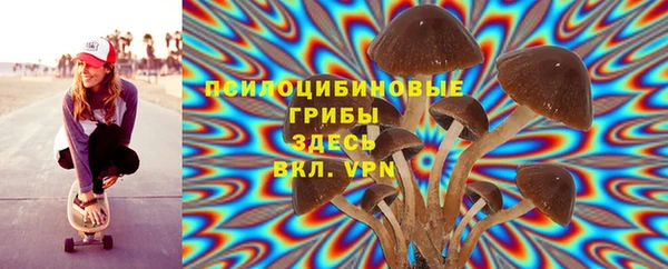 сатива Гусиноозёрск