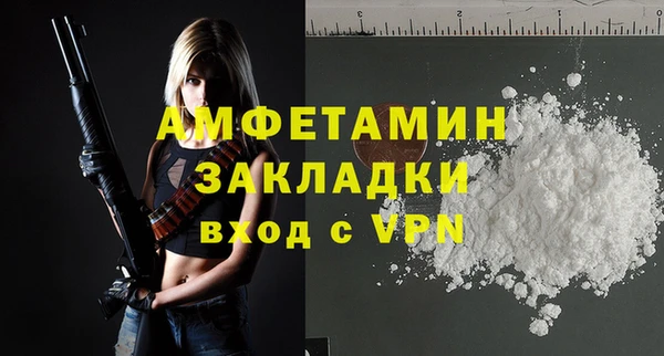 сатива Гусь-Хрустальный