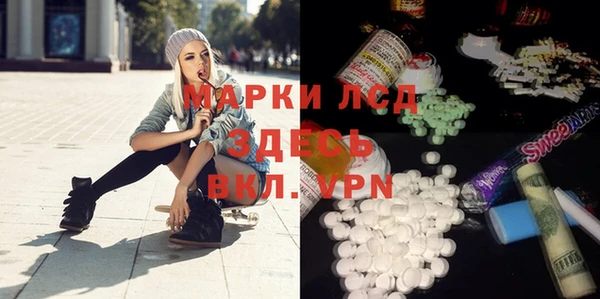сатива Гусь-Хрустальный