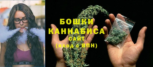 сатива Гусь-Хрустальный