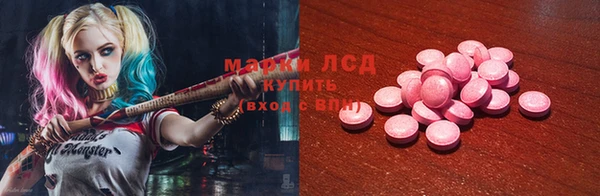сатива Гусиноозёрск