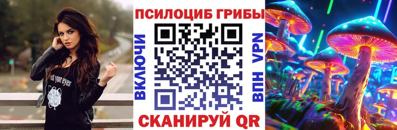 Купить закладки  Чайковский  Псилоцибиновые грибы мицелий 